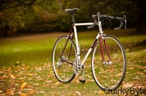 Main Types of Bikes You Can Enjoy