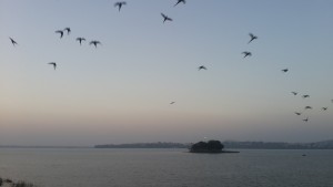 5 Places to Visit in Bhopal