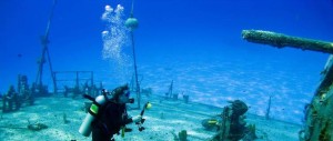 Best Wall Reefs for Diving in the World