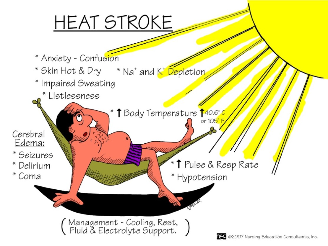 3-health-problems-specific-to-summer-times-quirkybyte