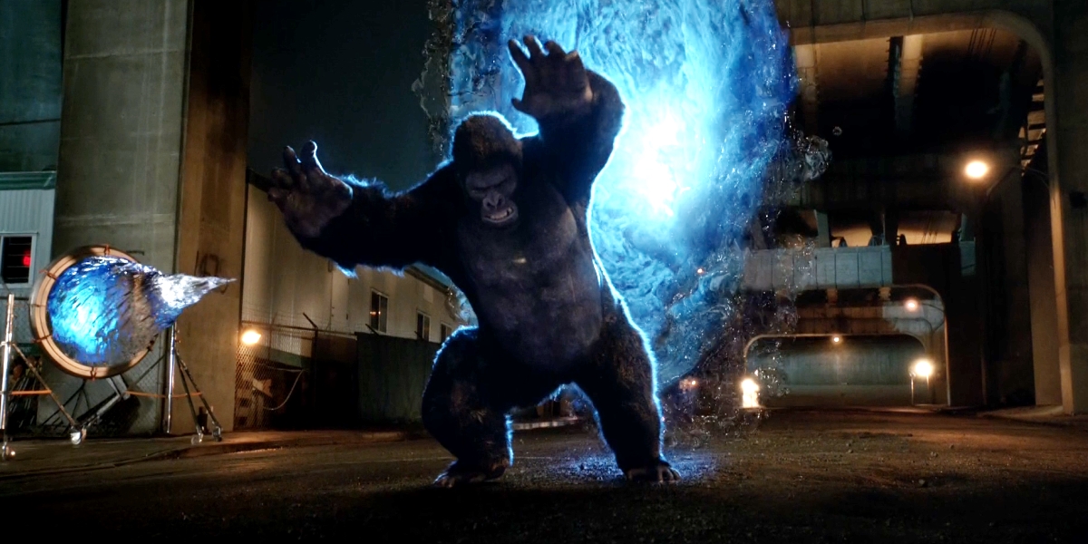 The Flash King Shark vs Gorilla Grodd