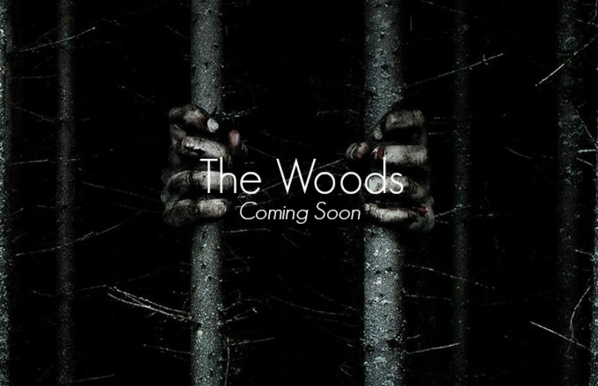 the woods