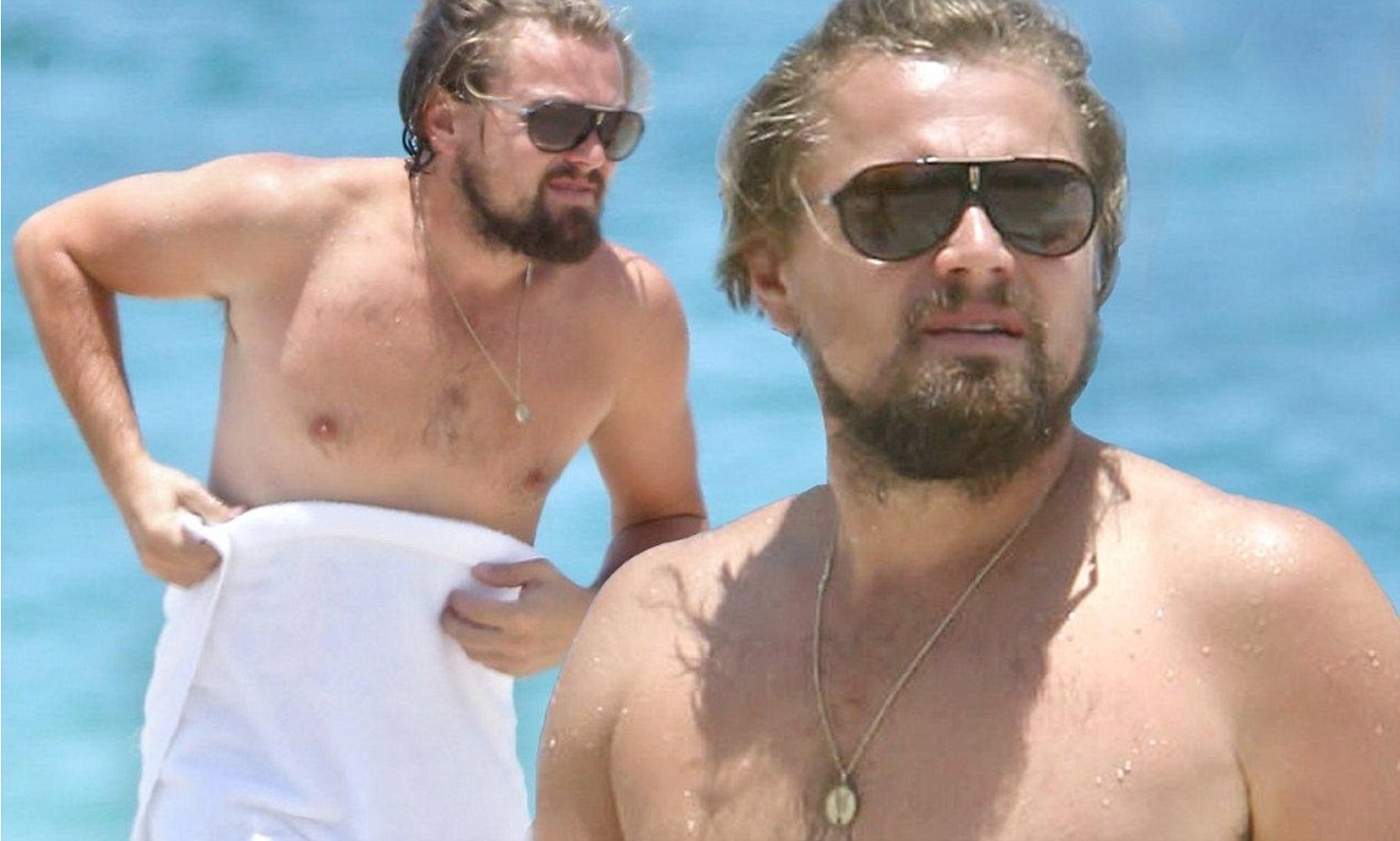 Leonardo DiCaprio