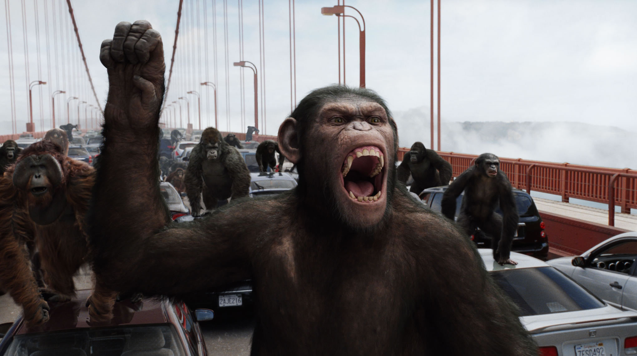 rise-of-the-planet-of-the-apes-movie-image-031