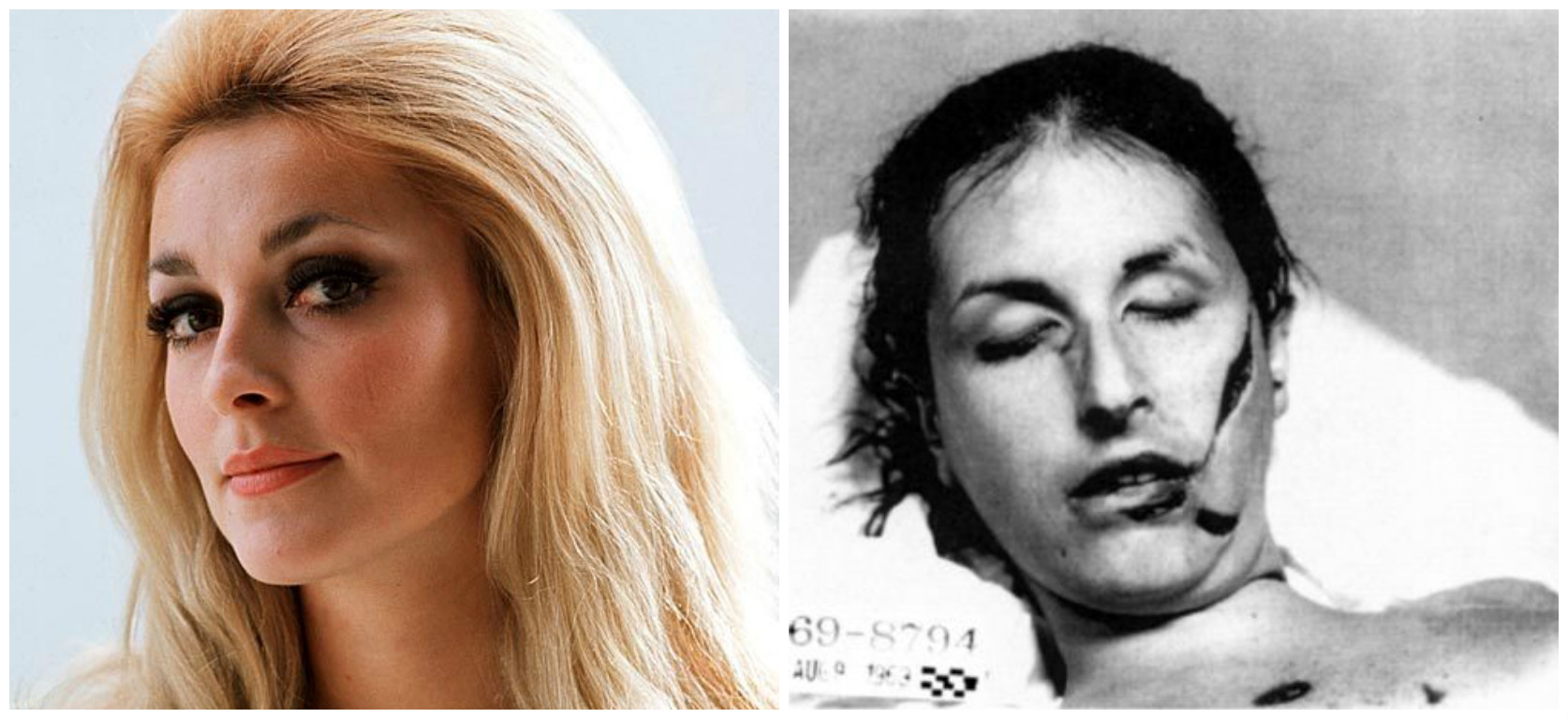 Unedited Sharon Tate Murder Related Keywords & Suggestions -