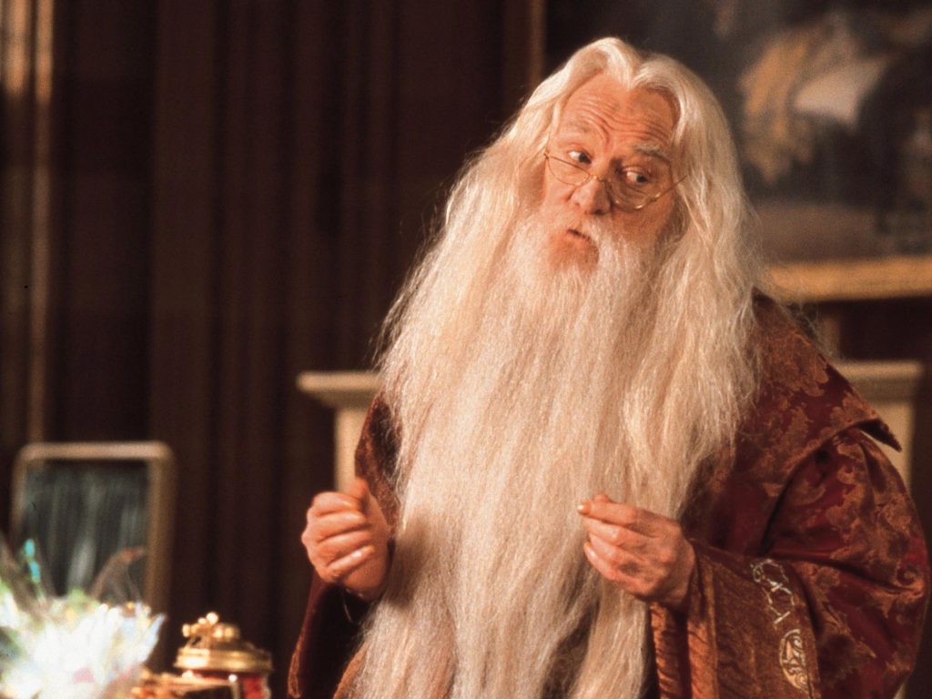 Things You Did Not Know About Albus Dumbledore