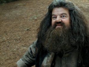 enesco hagrid
