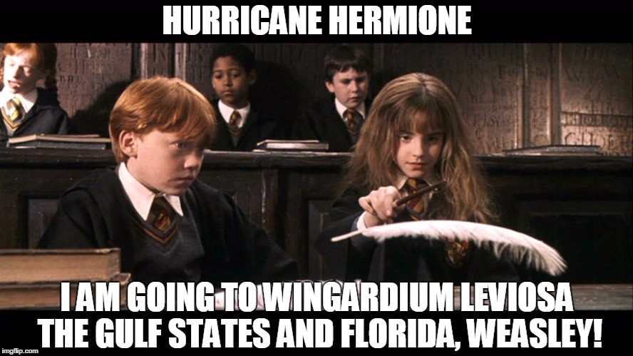 The best Hermione memes :) Memedroid