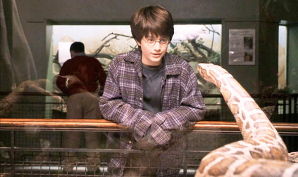 harry potter