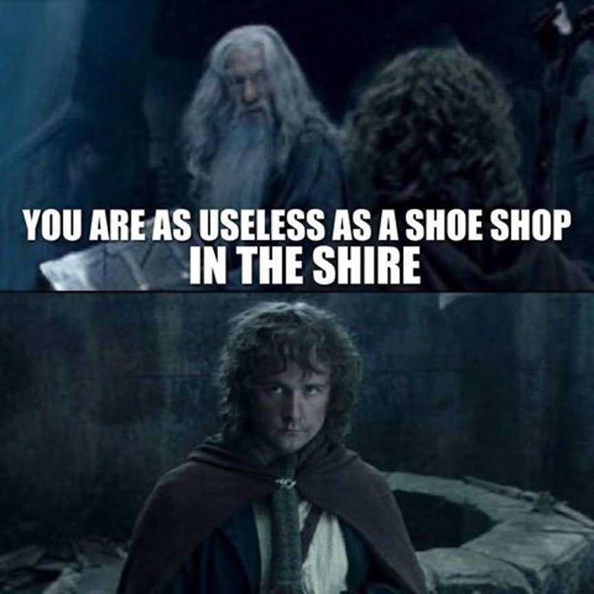 25 Funniest Lord of The Rings Memes That Only Its True 