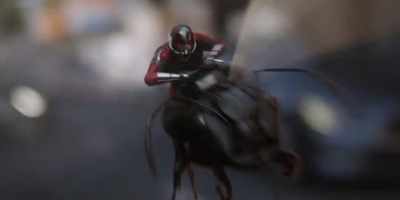 Ant man and the wasp