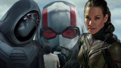 Ant-Man And The Wasp 3 Officially Releasing