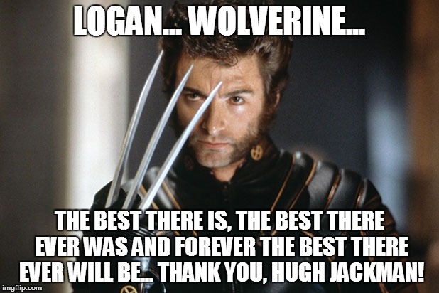 29 Funniest Wolverine Memes That Will Make You Laugh Hard