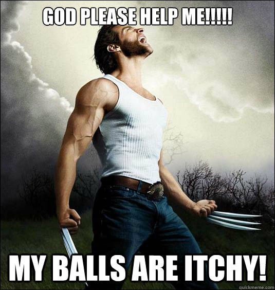 29 Funniest Wolverine Memes That Will Make You Laugh Hard
