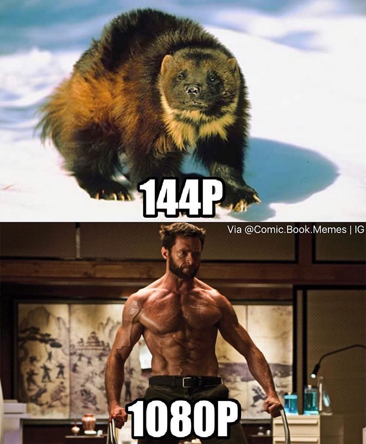 29 Funniest Wolverine Memes That Will Make You Laugh Hard