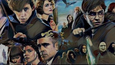 Fantastic Beasts Sequel Harry Potter