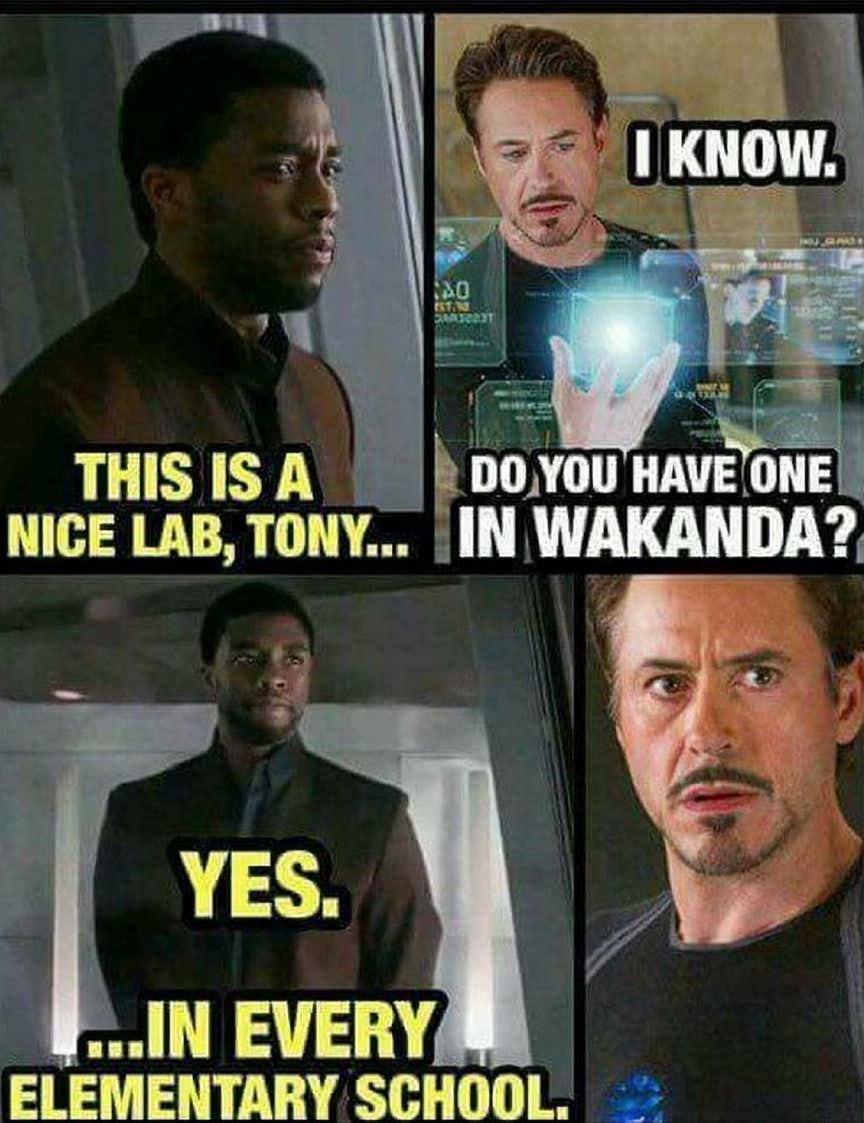 23 Funniest Wakanda Memes That Will Have You Rolling