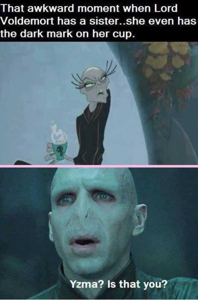 31 Funniest Voldemort Memes That Will Make You Laugh ...