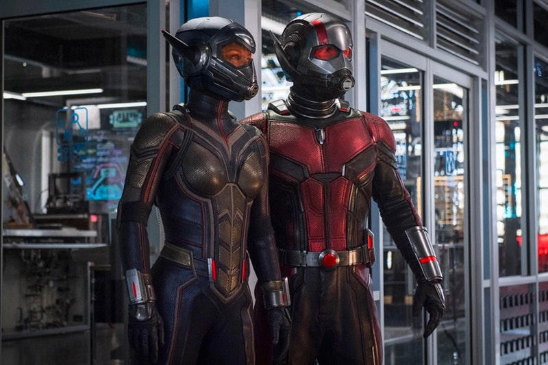 Ant-Man And The Wasp Director Reveals Information On Other Avengers Cameos