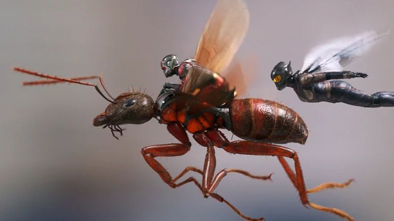 Post Credits Scenes of Ant-Man And The Wasp