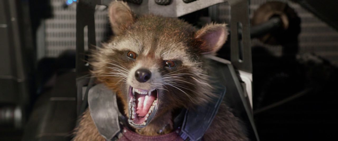 Rocket Raccoon