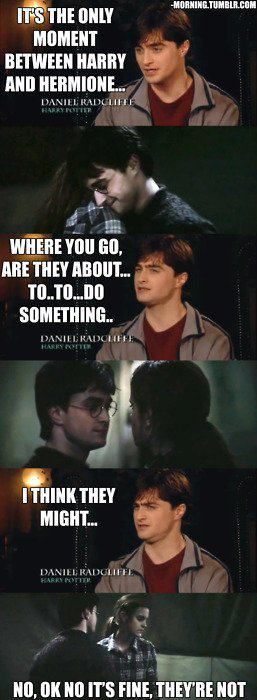 15 Harry Potter Memes That Will Make You Laugh, Then Cry - Potterhood