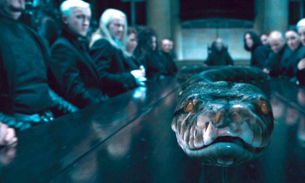 Fantastic Beasts 2 Nagini