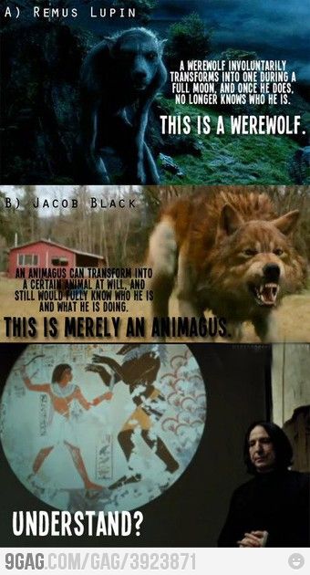 40 Epic Harry Potter Vs Twilight Memes That Might Start A War