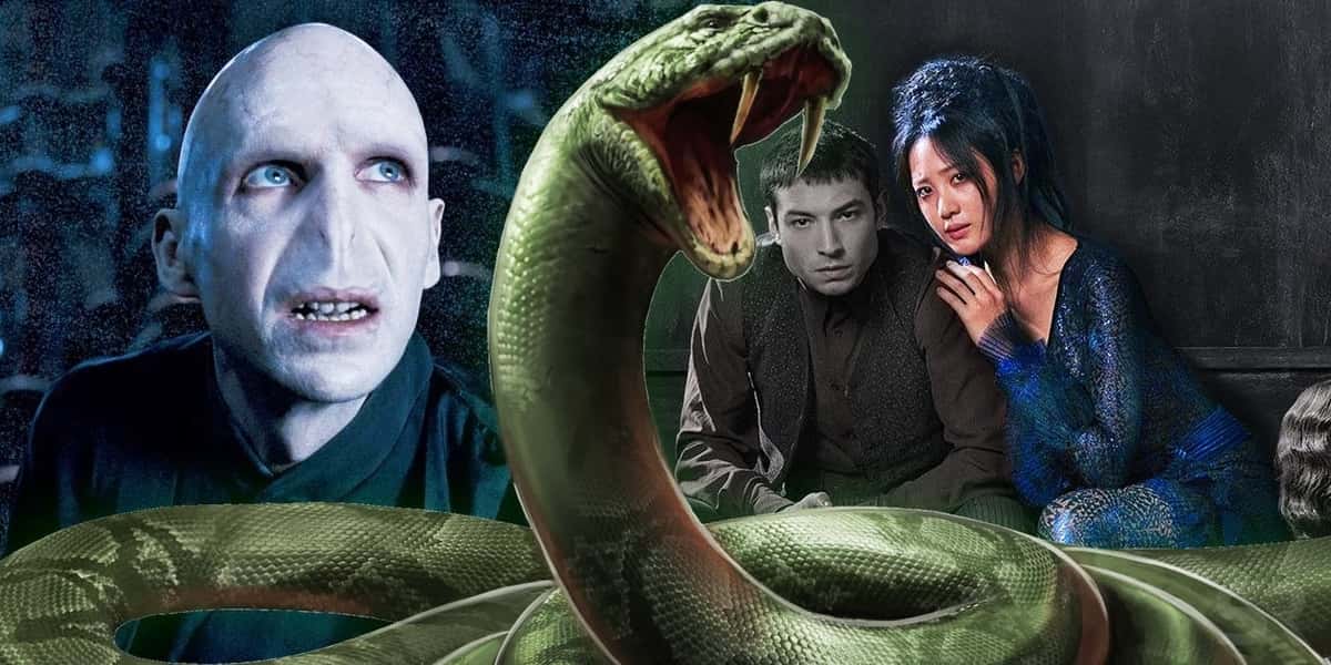 Fantastic Beast Theory Credence Lord Voldemort 