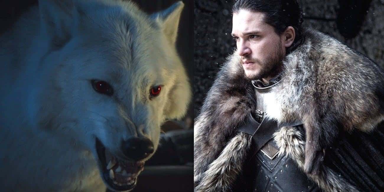 Jon Snow Ghost Westeros