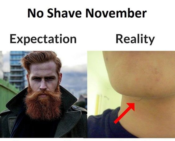 25 Hilarious No Shave November Memes That You Can Totally Relate