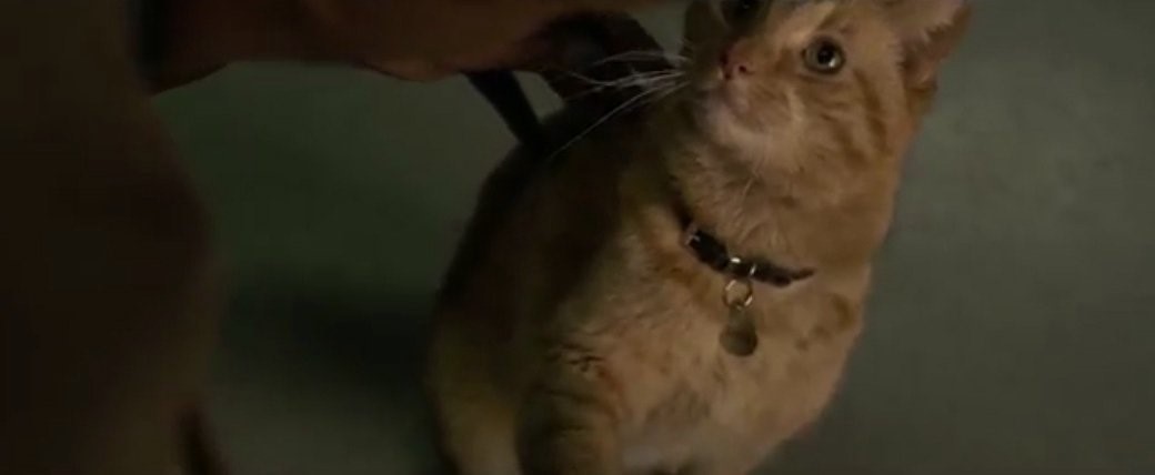 Captain Marvel Carol's Cat