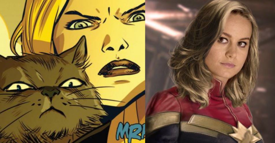 Captain Marvel Carol Danvers Cat