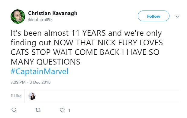 Captain Marvel Cat Nick Fury