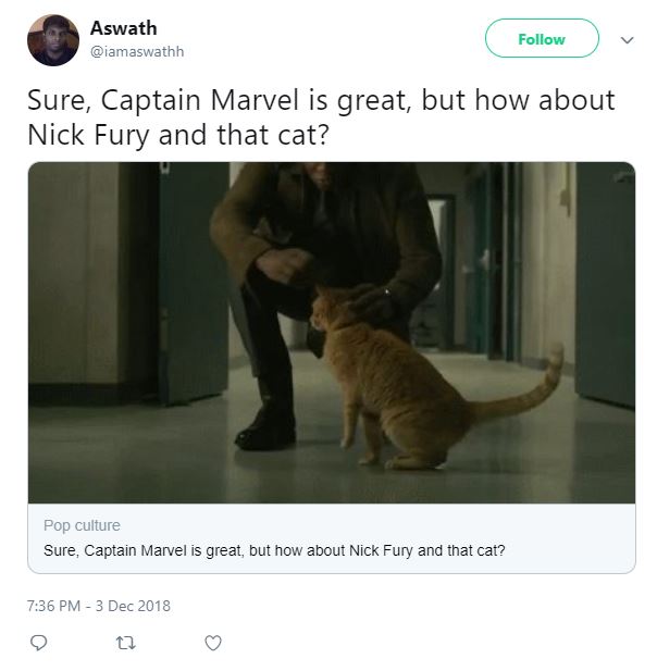 Captain Marvel Cat Nick Fury