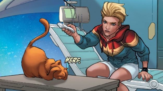 Captain Marvel Carol Danvers Cat