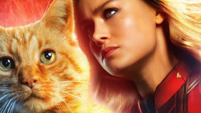 Captain Marvel Carol's Cat