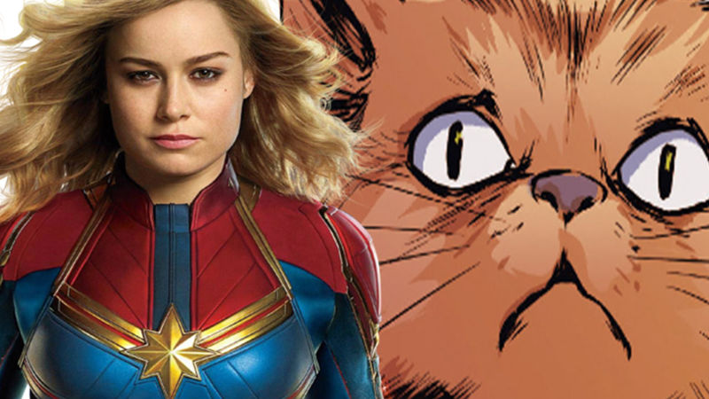 Captain Marvel Theory Goose