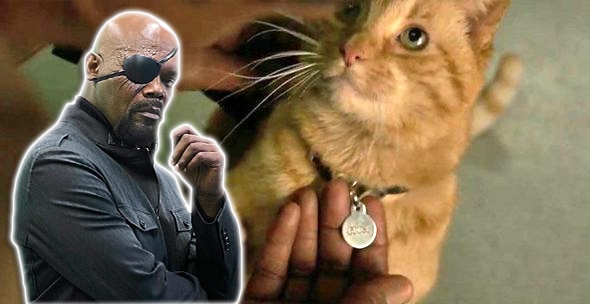 Captain Marvel Samuel L. Jackson Goose