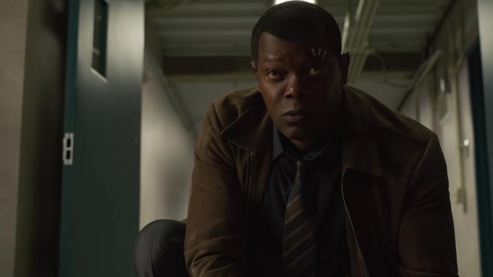 Captain Marvel Theory Nick Fury Goose