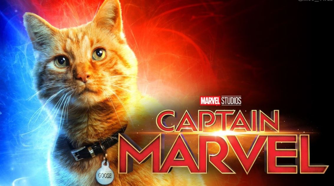 Facts About Goose Captain Marvel Cat