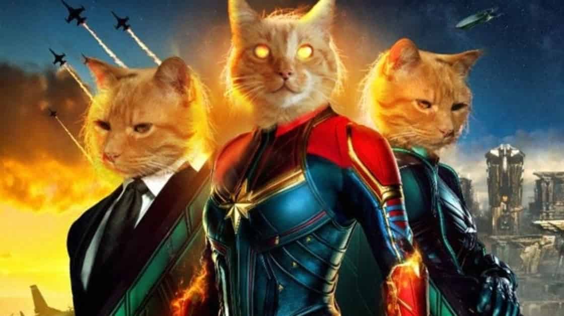 Captain Marvel Goose Kevin Feige