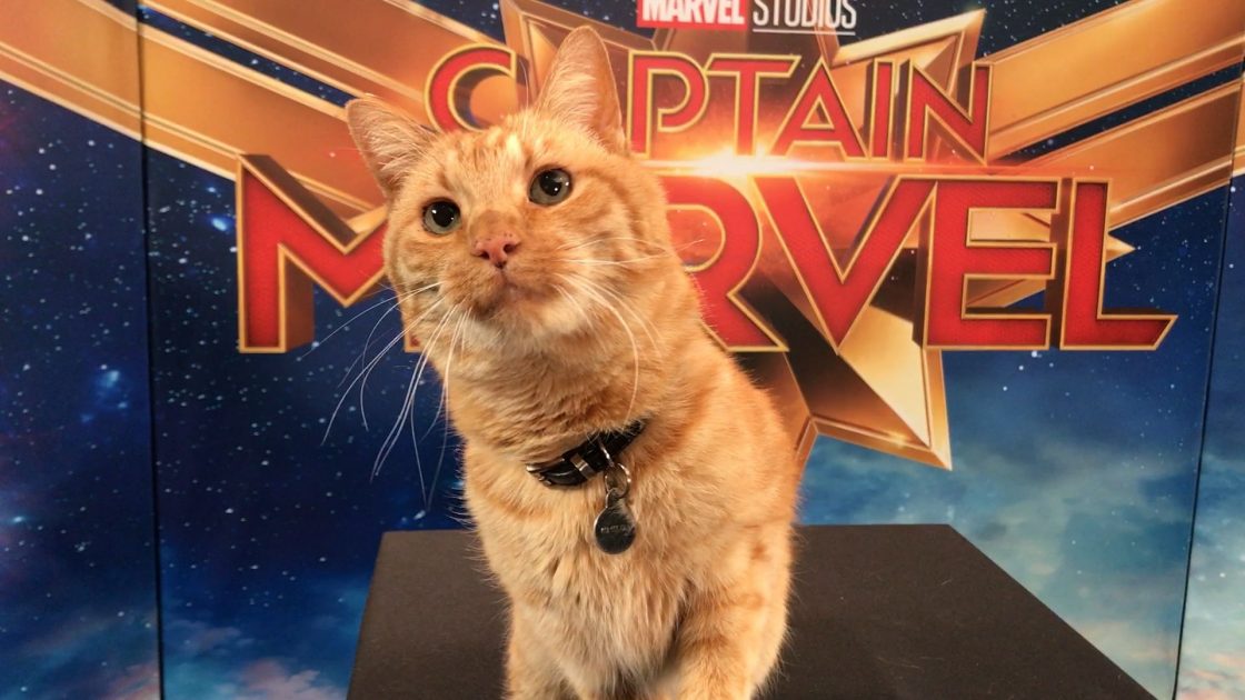 Captain Marvel Goose Spinoff Movie