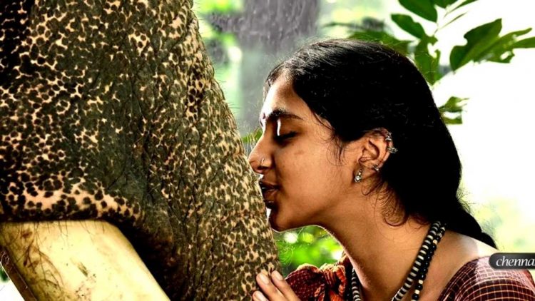 kumki tamil mp3 songs download for mobile kumki tamil mp3 songs download for mobile