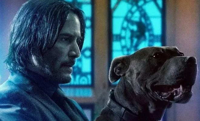 John Wick Chapter 3: Parabellum Avengers: Endgame