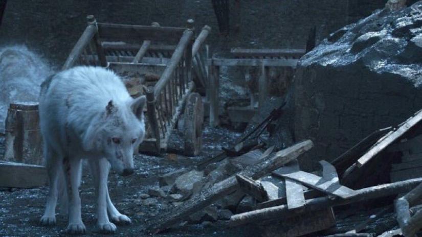Jon Snow Ghost Westeros