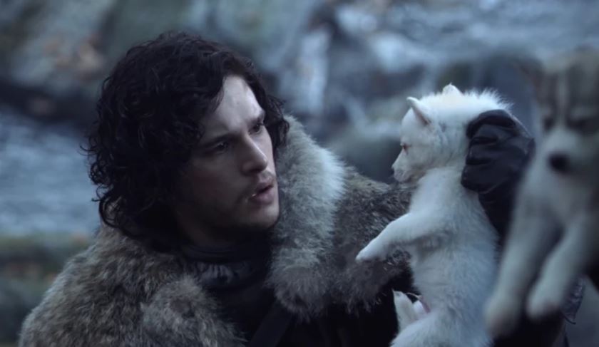 Jon Snow Ghost Westeros