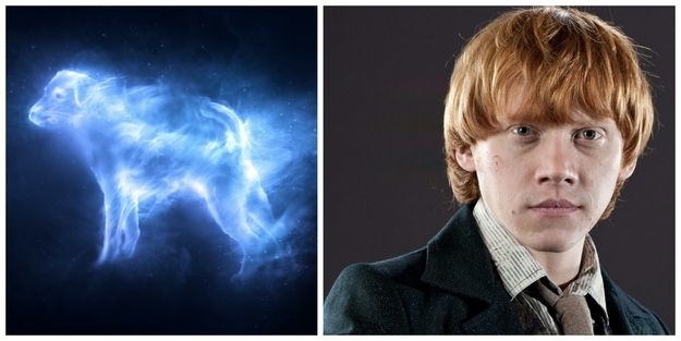 Harry Potter Characters Patronus