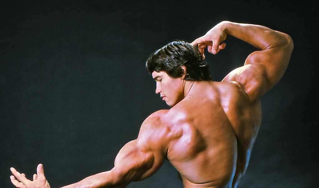 Top 10 Incredible Facts About Arnold Schwarzenegger