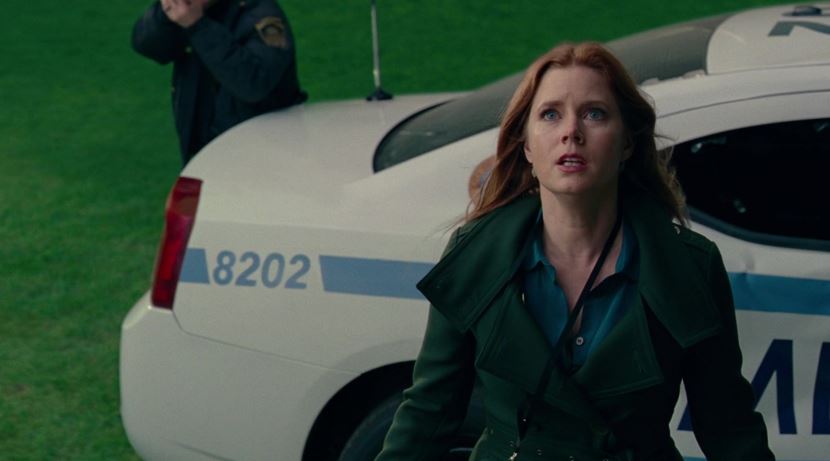 Highest Grossing Movies of Amy Adams